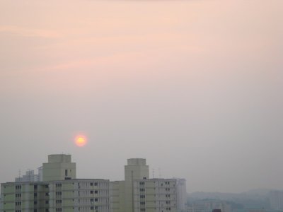 The haze